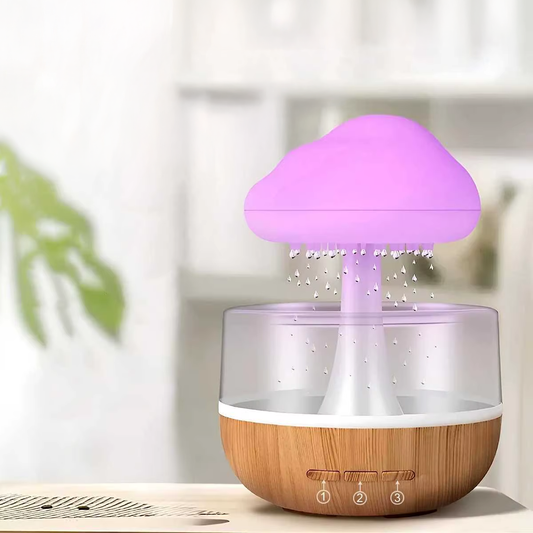 Raincloud Humidifier